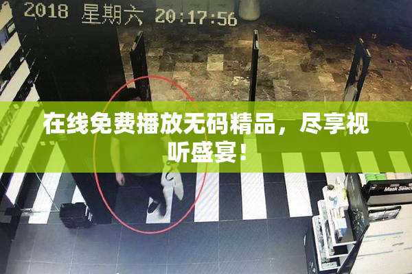 在线免费播放无码精品，尽享视听盛宴！