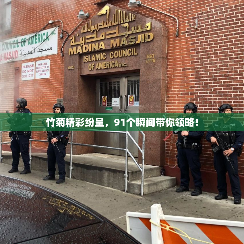 竹菊精彩纷呈，91个瞬间带你领略！
