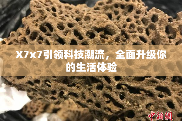 X7x7引领科技潮流，全面升级你的生活体验
