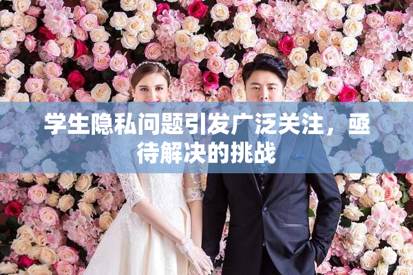 学生隐私问题引发广泛关注，亟待解决的挑战