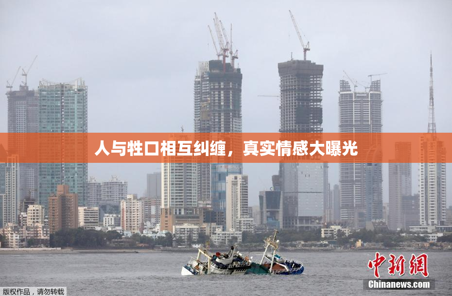 人与牲口相互纠缠，真实情感大曝光