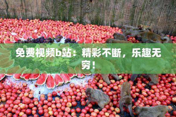 免费视频b站：精彩不断，乐趣无穷！