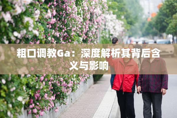 粗口调教Ga：深度解析其背后含义与影响