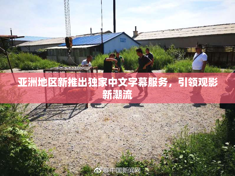 亚洲地区新推出独家中文字幕服务，引领观影新潮流