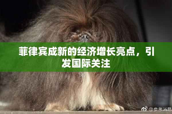 菲律宾成新的经济增长亮点，引发国际关注