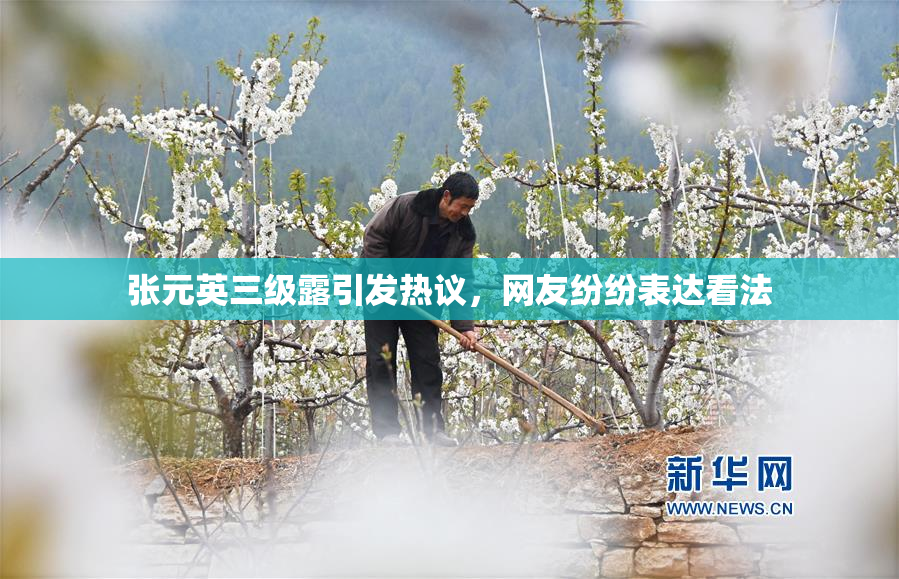 张元英三级露引发热议，网友纷纷表达看法
