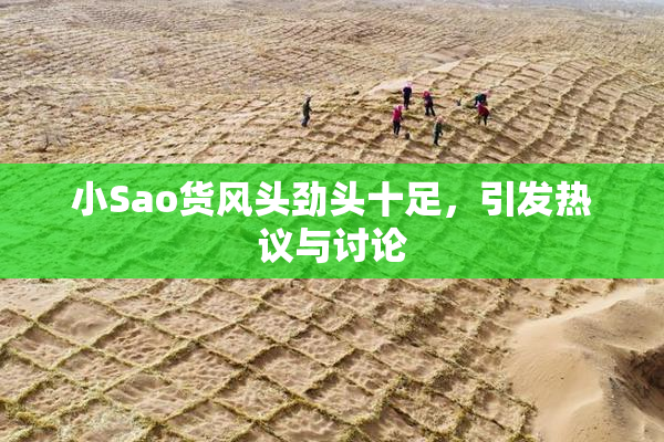 小Sao货风头劲头十足，引发热议与讨论