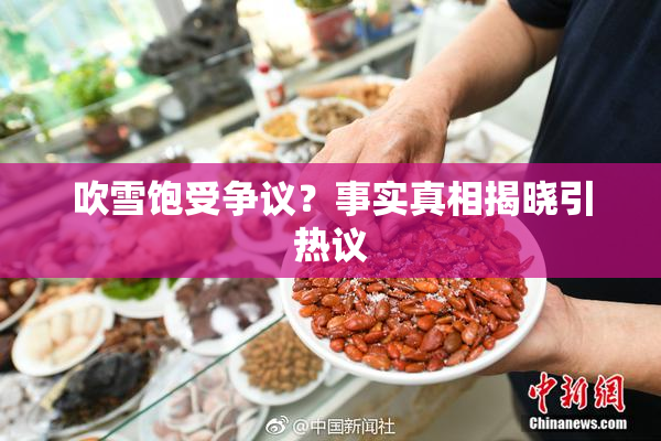 吹雪饱受争议？事实真相揭晓引热议