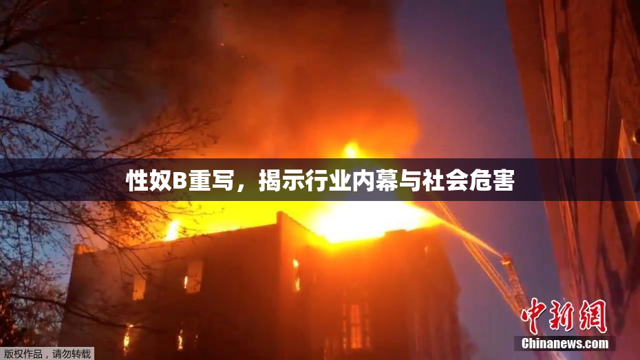 性奴B重写，揭示行业内幕与社会危害