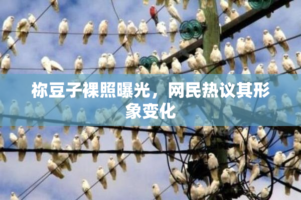祢豆子裸照曝光，网民热议其形象变化