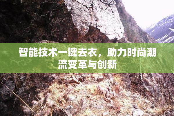 智能技术一键去衣，助力时尚潮流变革与创新