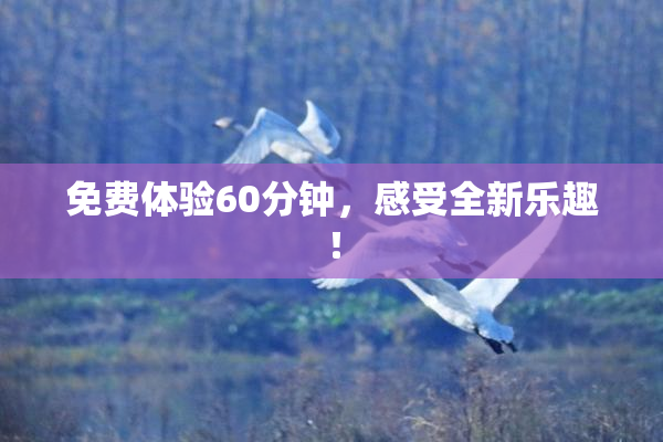 免费体验60分钟，感受全新乐趣！