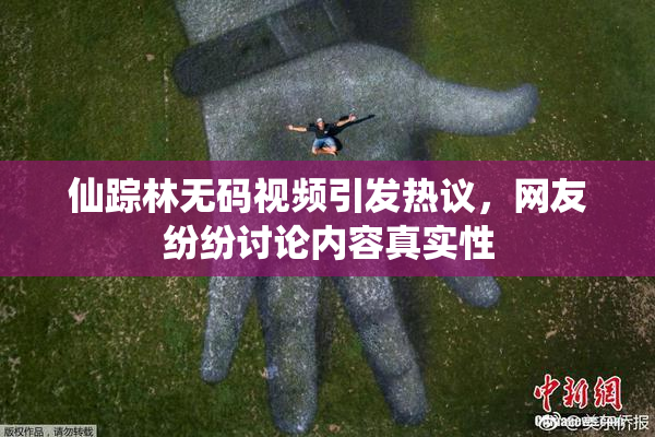 仙踪林无码视频引发热议，网友纷纷讨论内容真实性