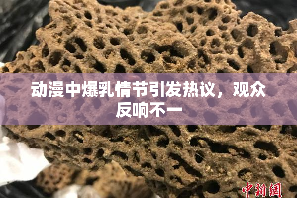 动漫中爆乳情节引发热议，观众反响不一