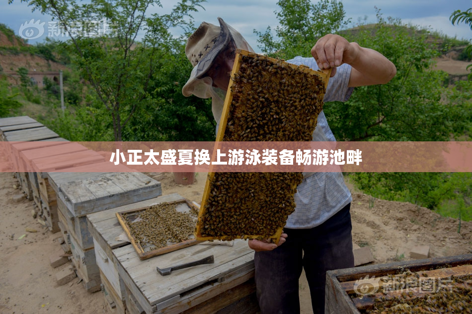 小正太盛夏换上游泳装备畅游池畔