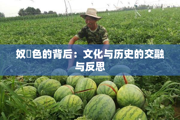 奴隷色的背后：文化与历史的交融与反思