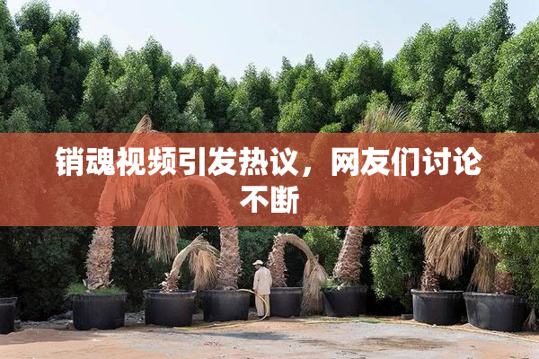 销魂视频引发热议，网友们讨论不断