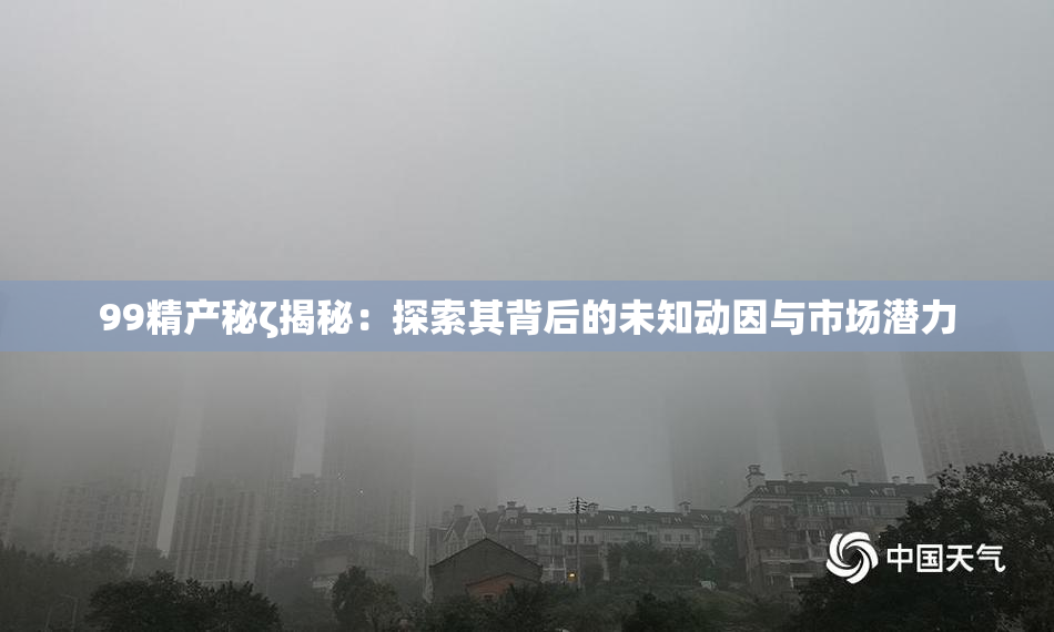 99精产秘ζ揭秘：探索其背后的未知动因与市场潜力