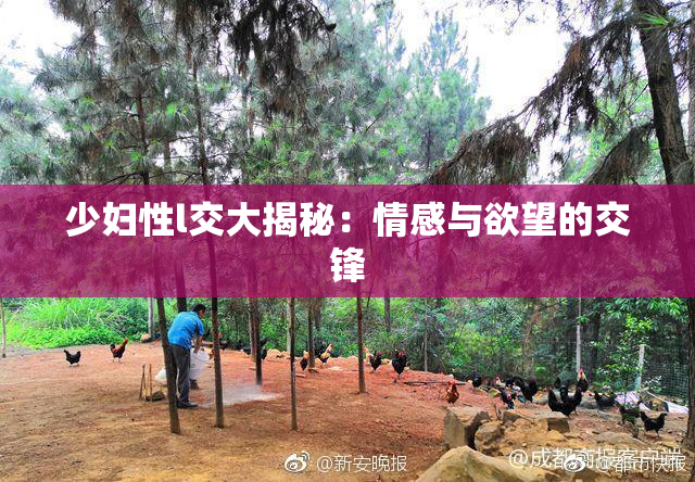少妇性l交大揭秘：情感与欲望的交锋