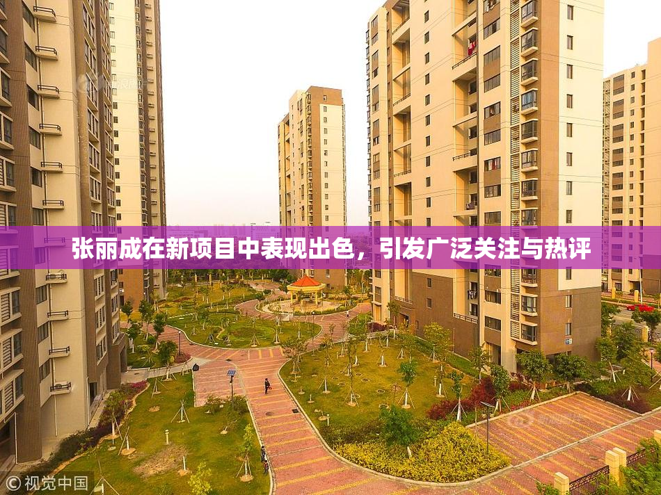 张丽成在新项目中表现出色，引发广泛关注与热评