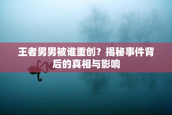 王者男男被谁重创？揭秘事件背后的真相与影响