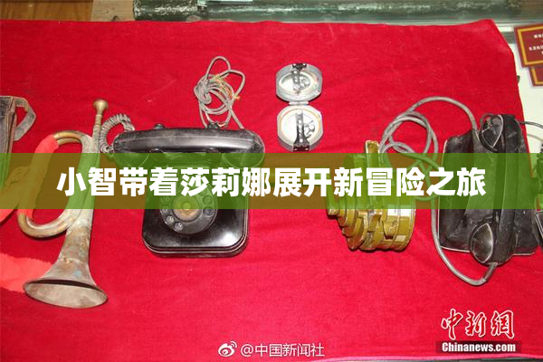 小智带着莎莉娜展开新冒险之旅