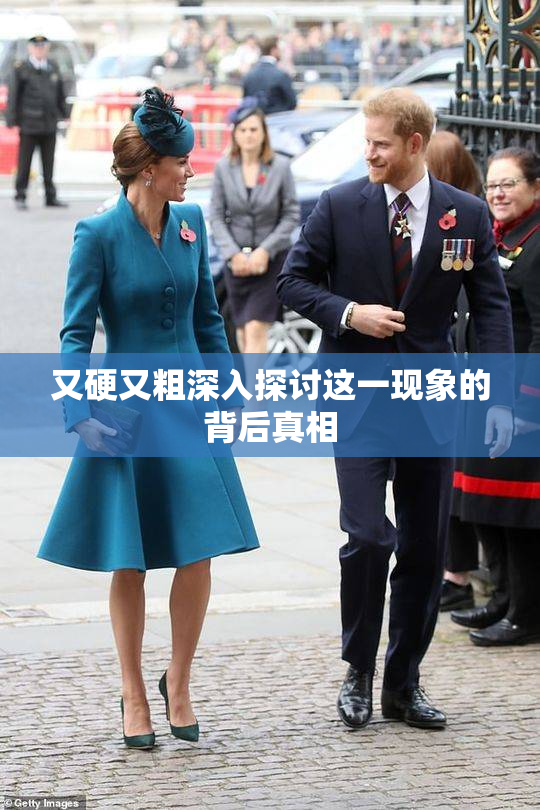 又硬又粗深入探讨这一现象的背后真相