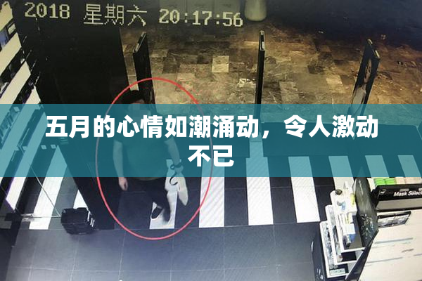 五月的心情如潮涌动，令人激动不已