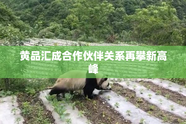 黄品汇成合作伙伴关系再攀新高峰