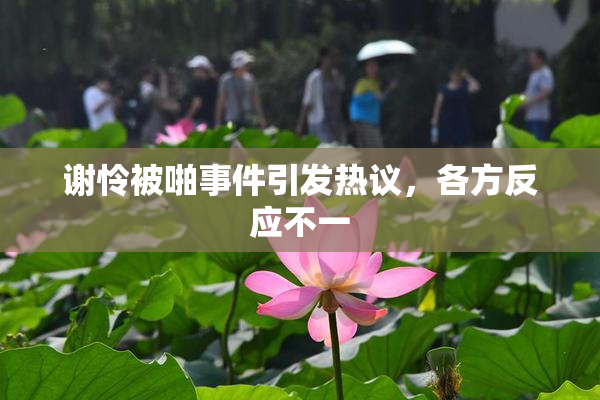 谢怜被啪事件引发热议，各方反应不一