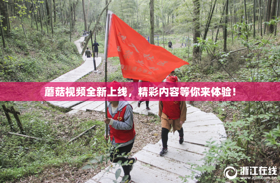 蘑菇视频全新上线，精彩内容等你来体验！