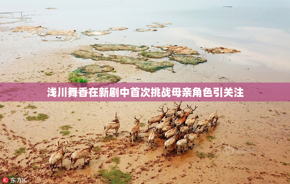 浅川舞香在新剧中首次挑战母亲角色引关注