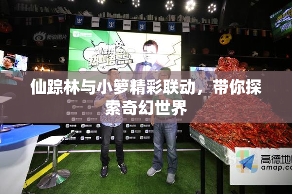 仙踪林与小箩精彩联动，带你探索奇幻世界