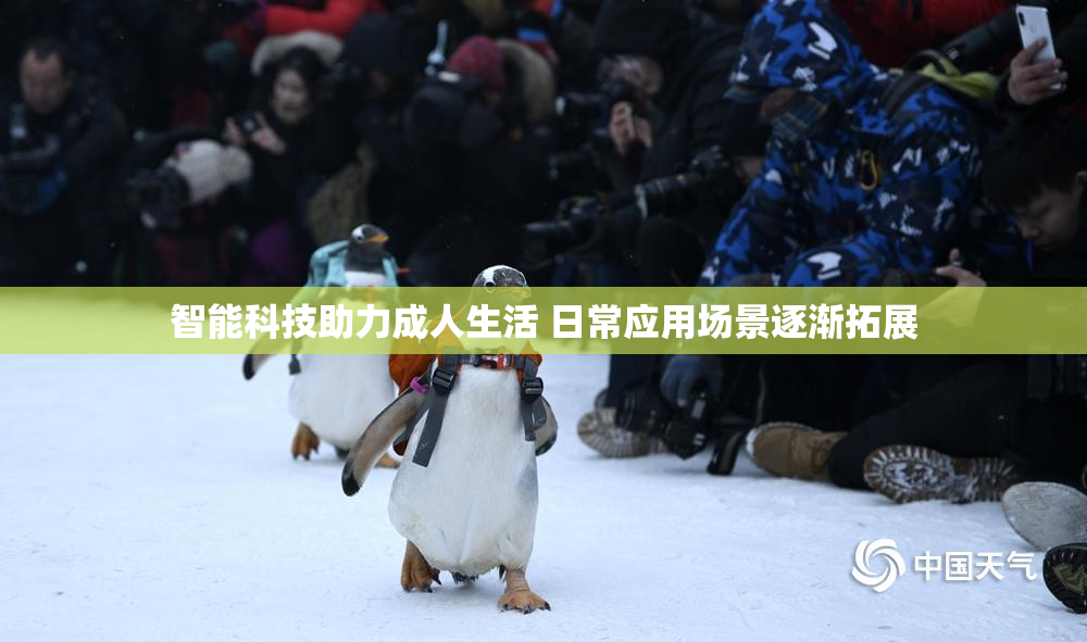 智能科技助力成人生活 日常应用场景逐渐拓展