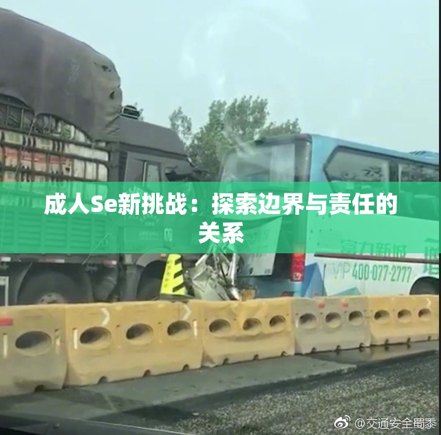 成人Se新挑战：探索边界与责任的关系