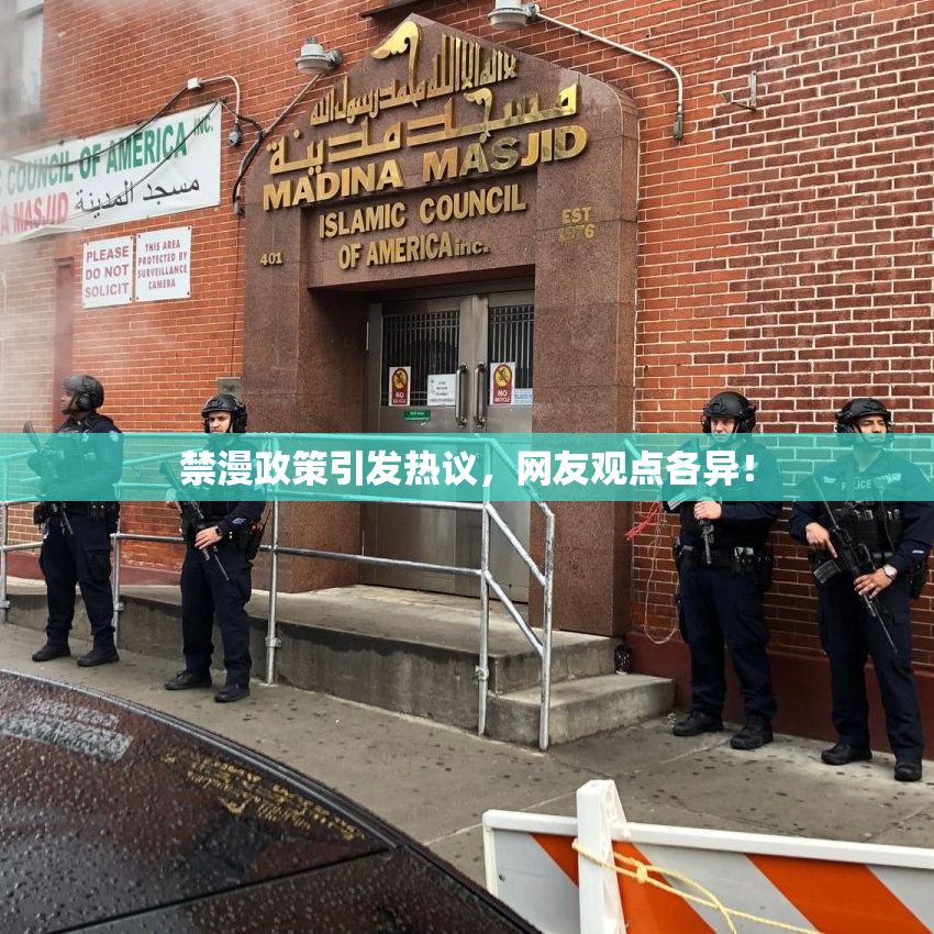 禁漫政策引发热议，网友观点各异！