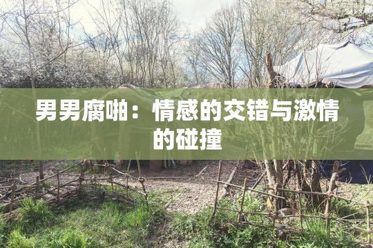 男男腐啪：情感的交错与激情的碰撞