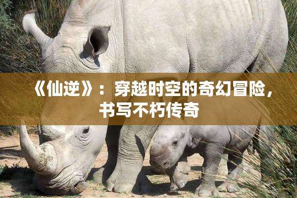 《仙逆》：穿越时空的奇幻冒险，书写不朽传奇