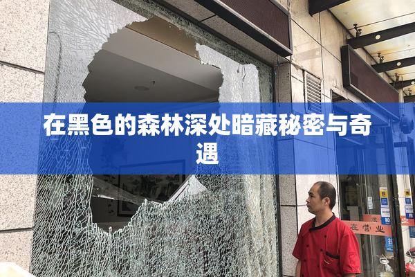 在黑色的森林深处暗藏秘密与奇遇