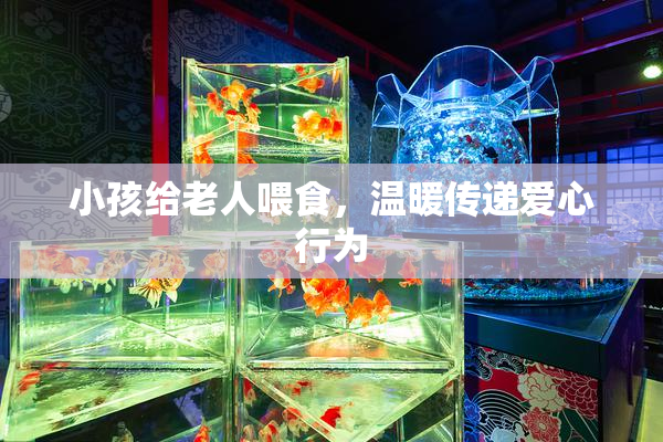 小孩给老人喂食，温暖传递爱心行为