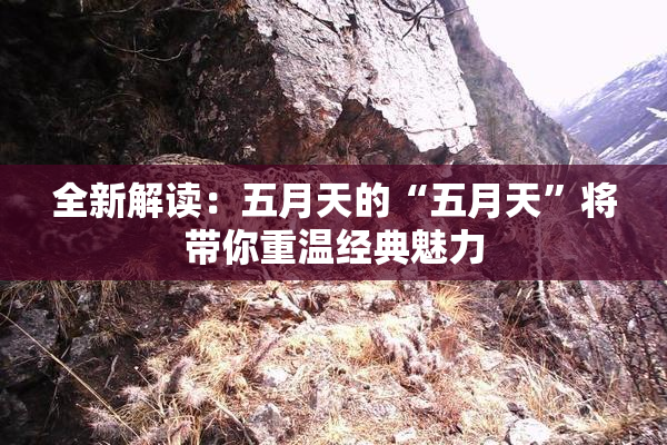 全新解读：五月天的“五月天”将带你重温经典魅力
