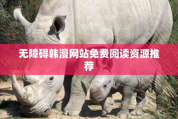 无障碍韩漫网站免费阅读资源推荐
