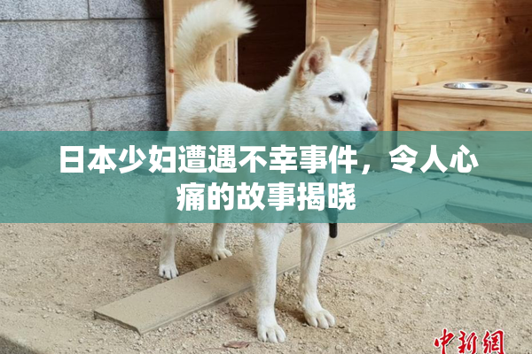 日本少妇遭遇不幸事件，令人心痛的故事揭晓