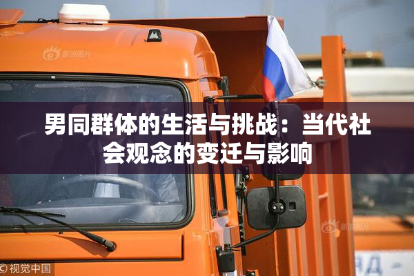男同群体的生活与挑战：当代社会观念的变迁与影响