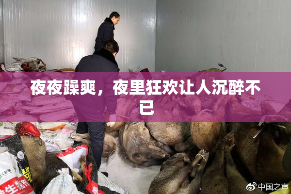 夜夜躁爽，夜里狂欢让人沉醉不已