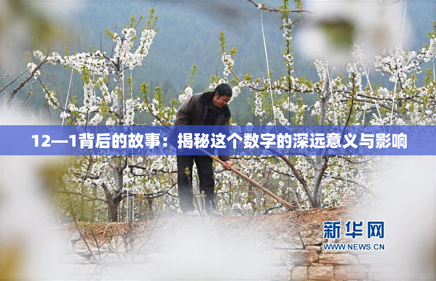 12—1背后的故事：揭秘这个数字的深远意义与影响