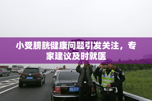 小受膀胱健康问题引发关注，专家建议及时就医