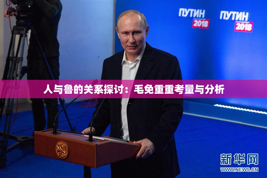 人与鲁的关系探讨：毛免重重考量与分析