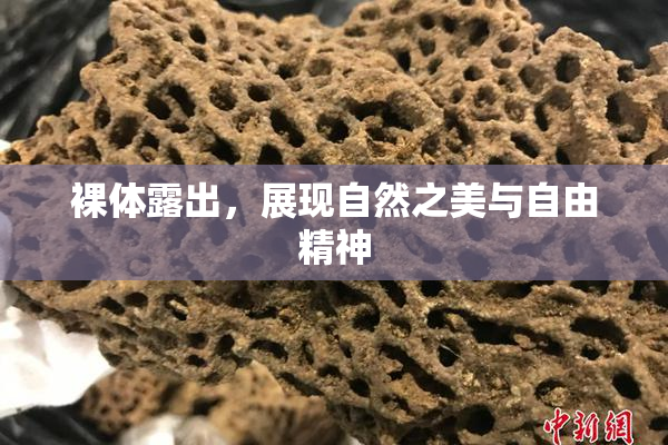 裸体露出，展现自然之美与自由精神