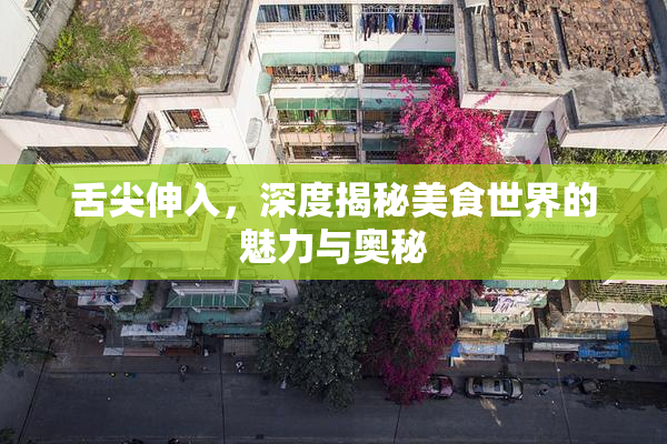 舌尖伸入，深度揭秘美食世界的魅力与奥秘